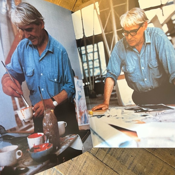 Willem de Kooning Art Book by Abbeville Modern Masters, Second Printing, 1983. - Picture 8 of 11